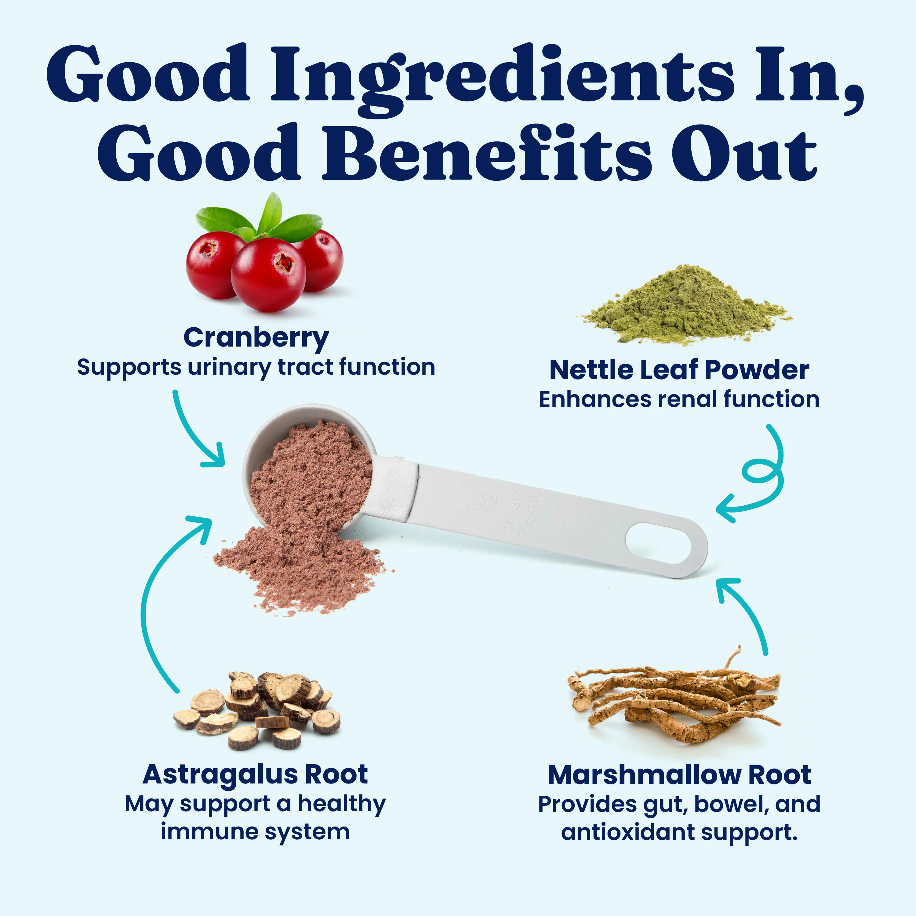 Berry Balance™ Urinary Tract Health Powder for Dogs & Cats - Image 3