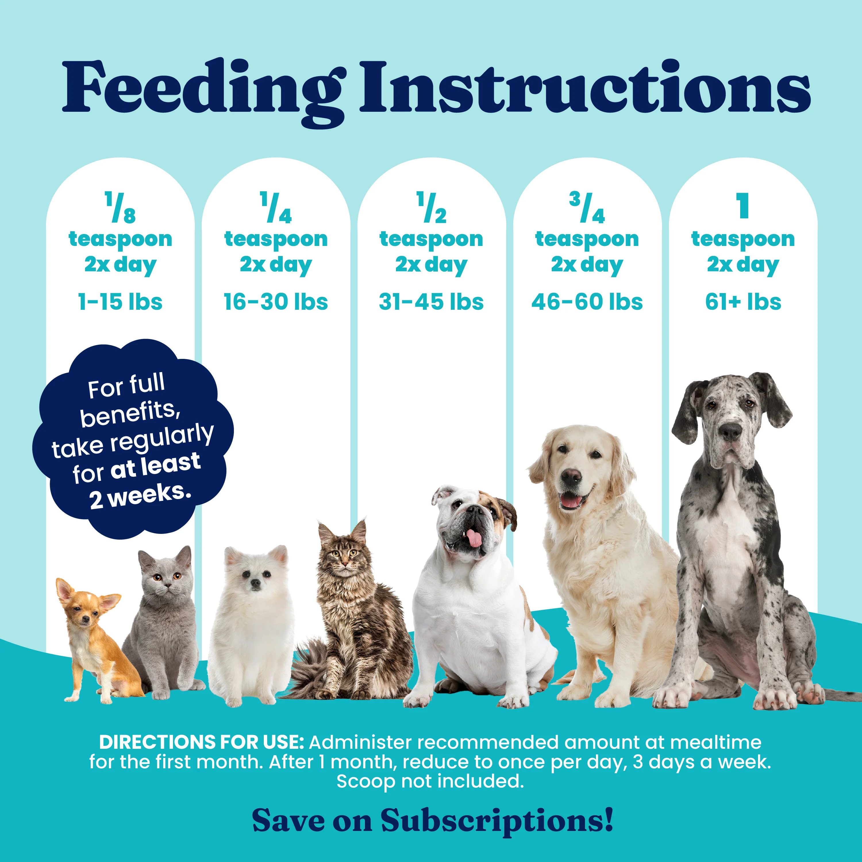 Berry Balance™ Urinary Tract Health Powder for Dogs & Cats - Image 6