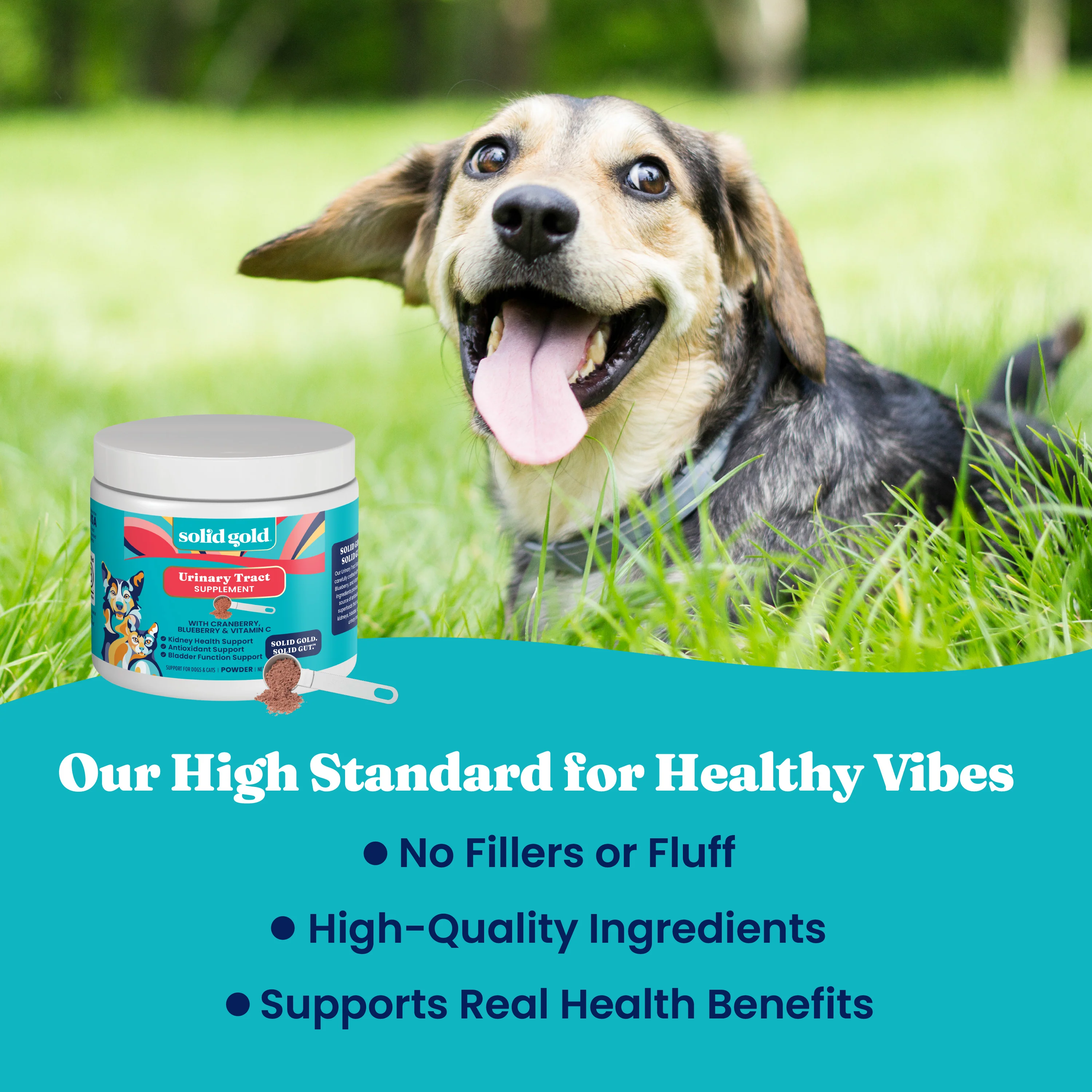 Berry Balance™ Urinary Tract Health Powder for Dogs & Cats - Image 7