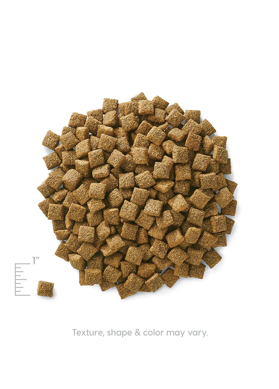 Fit and Fabulous™ Alaskan Pollock Dry Food for Adult Dogs - Image 4