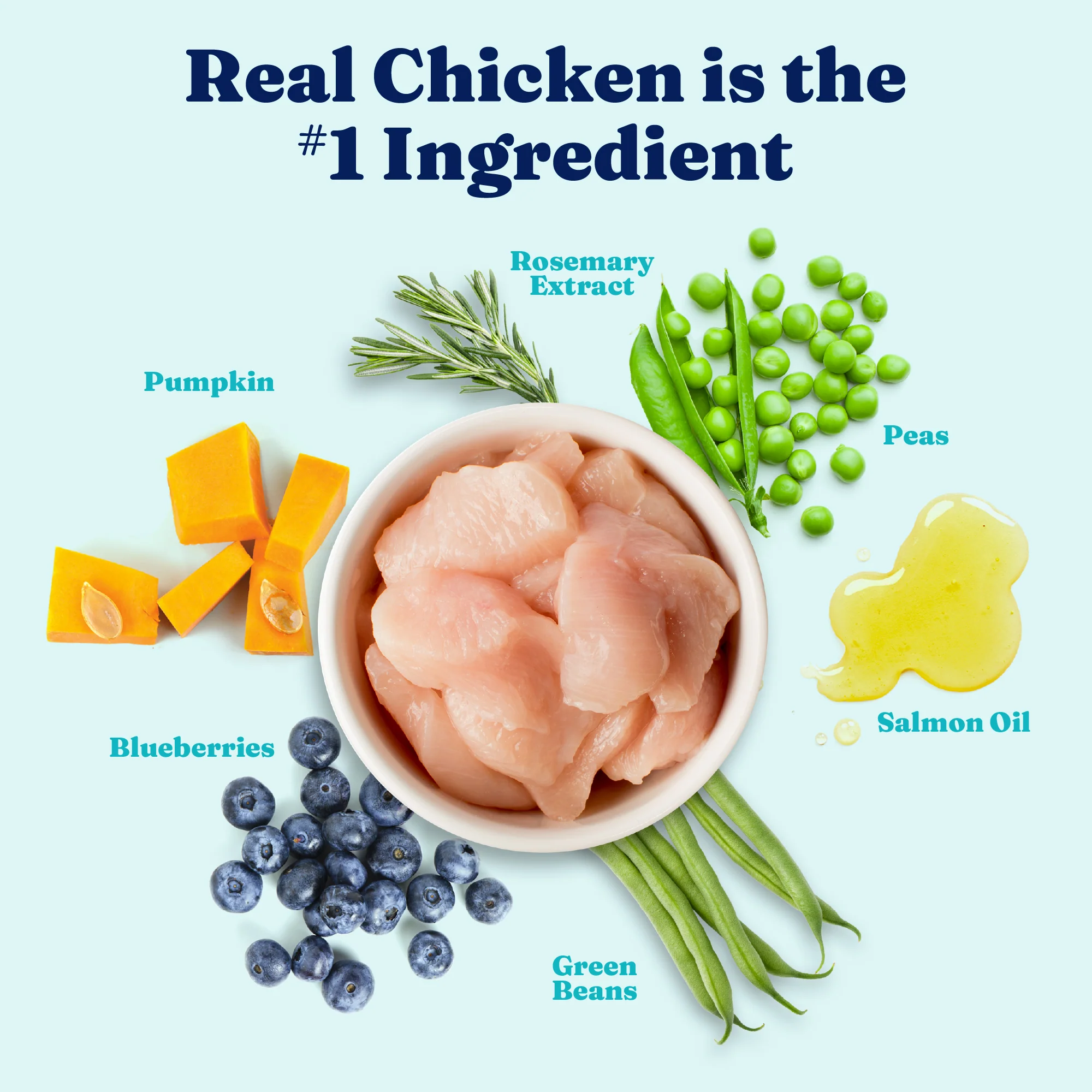 Nutrientboost™ Fit and Fabulous™ Chicken Dry Food for Adult Dogs - Image 3
