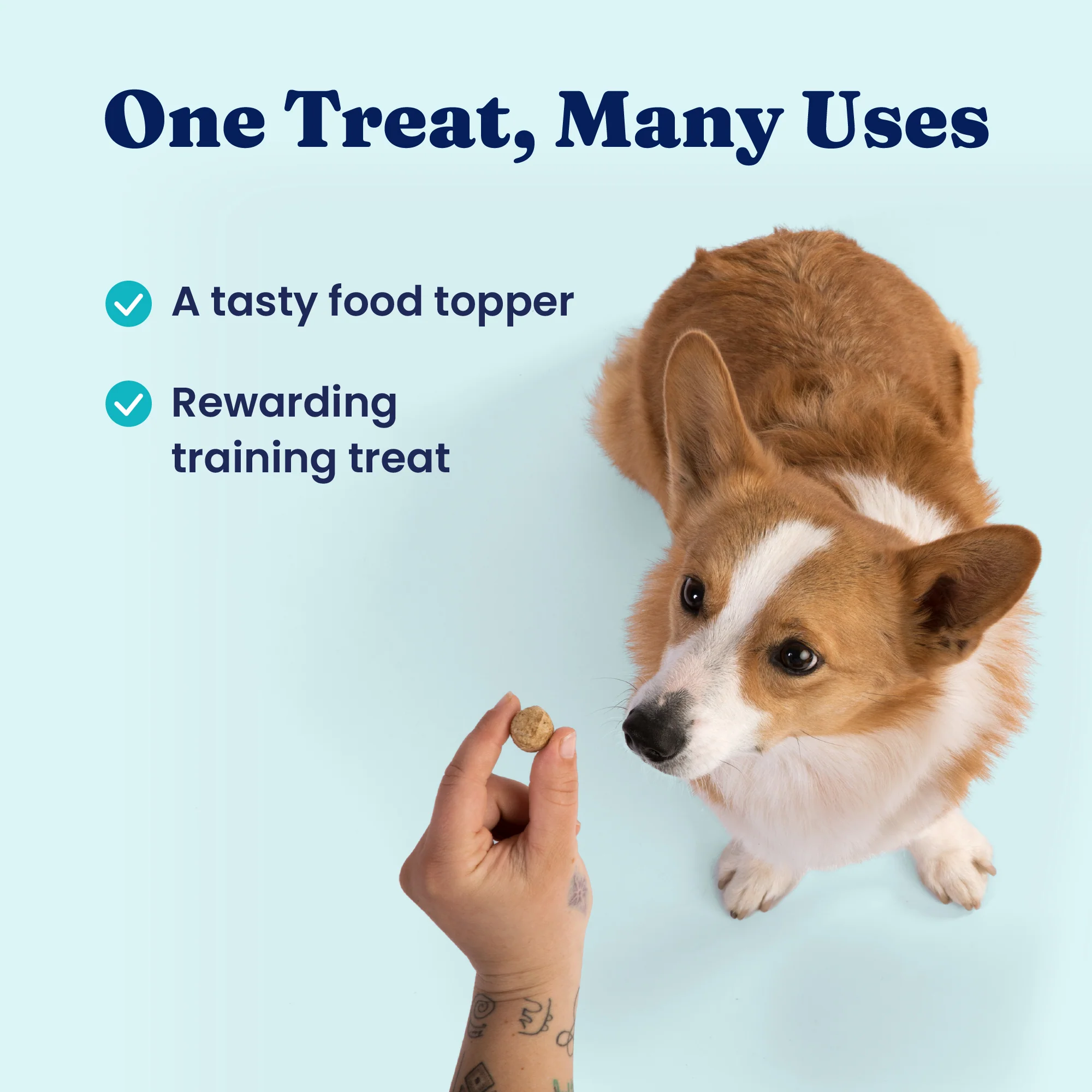 Nutrientboost™ Freeze Dried Raw Beef & Pumkin Meal Topper for Dogs - Image 4