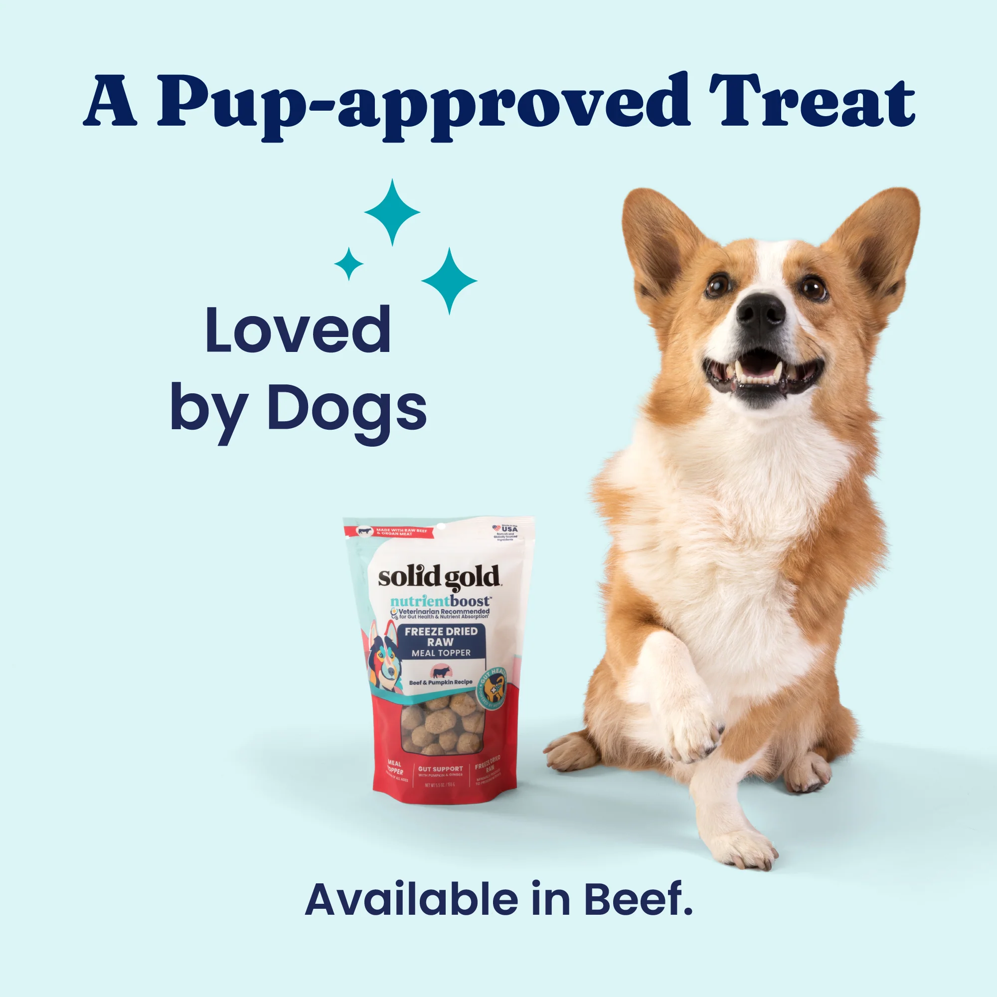 Nutrientboost™ Freeze Dried Raw Beef & Pumkin Meal Topper for Dogs - Image 5