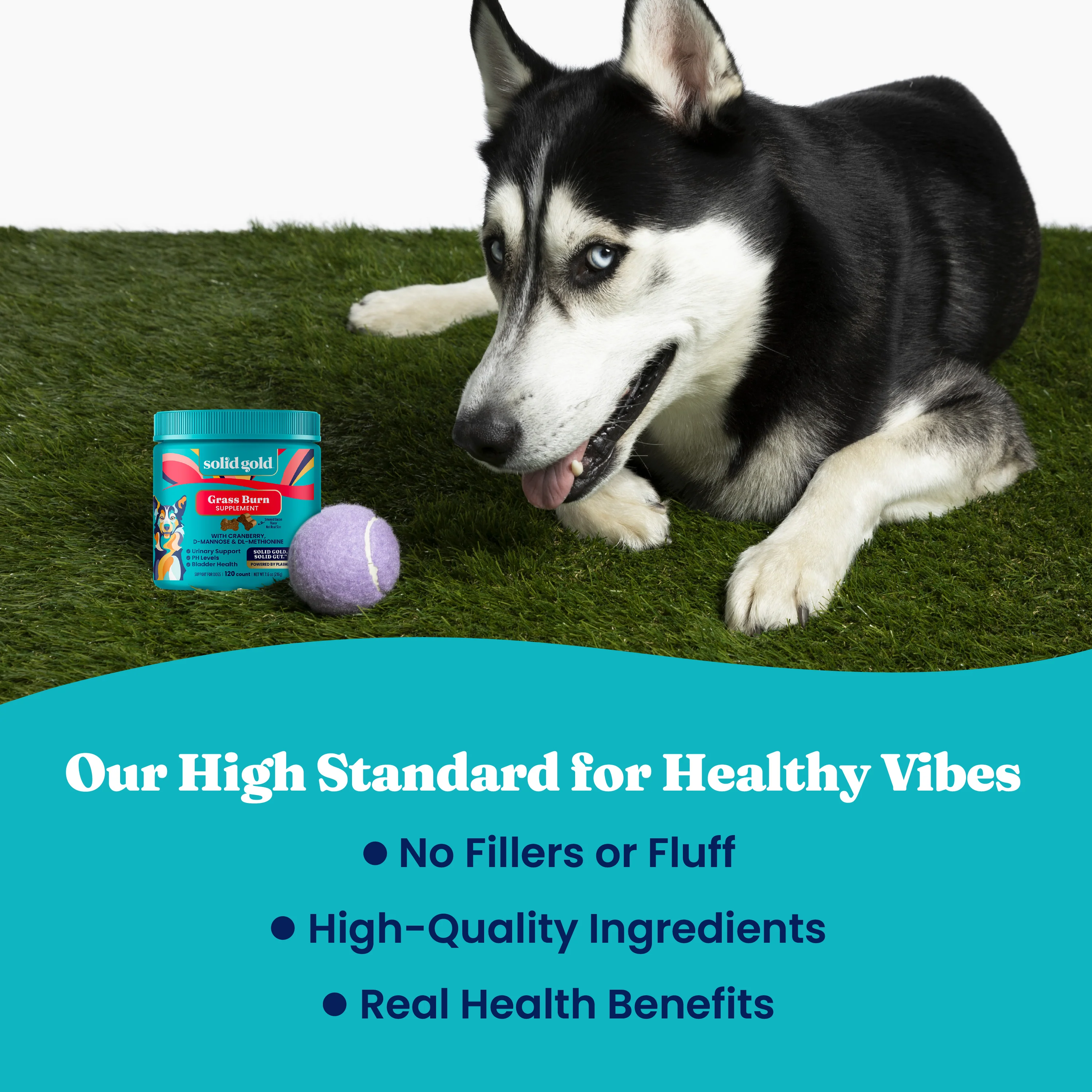 Grass Guardian™ Digestive Health Chews for Dogs - Image 7