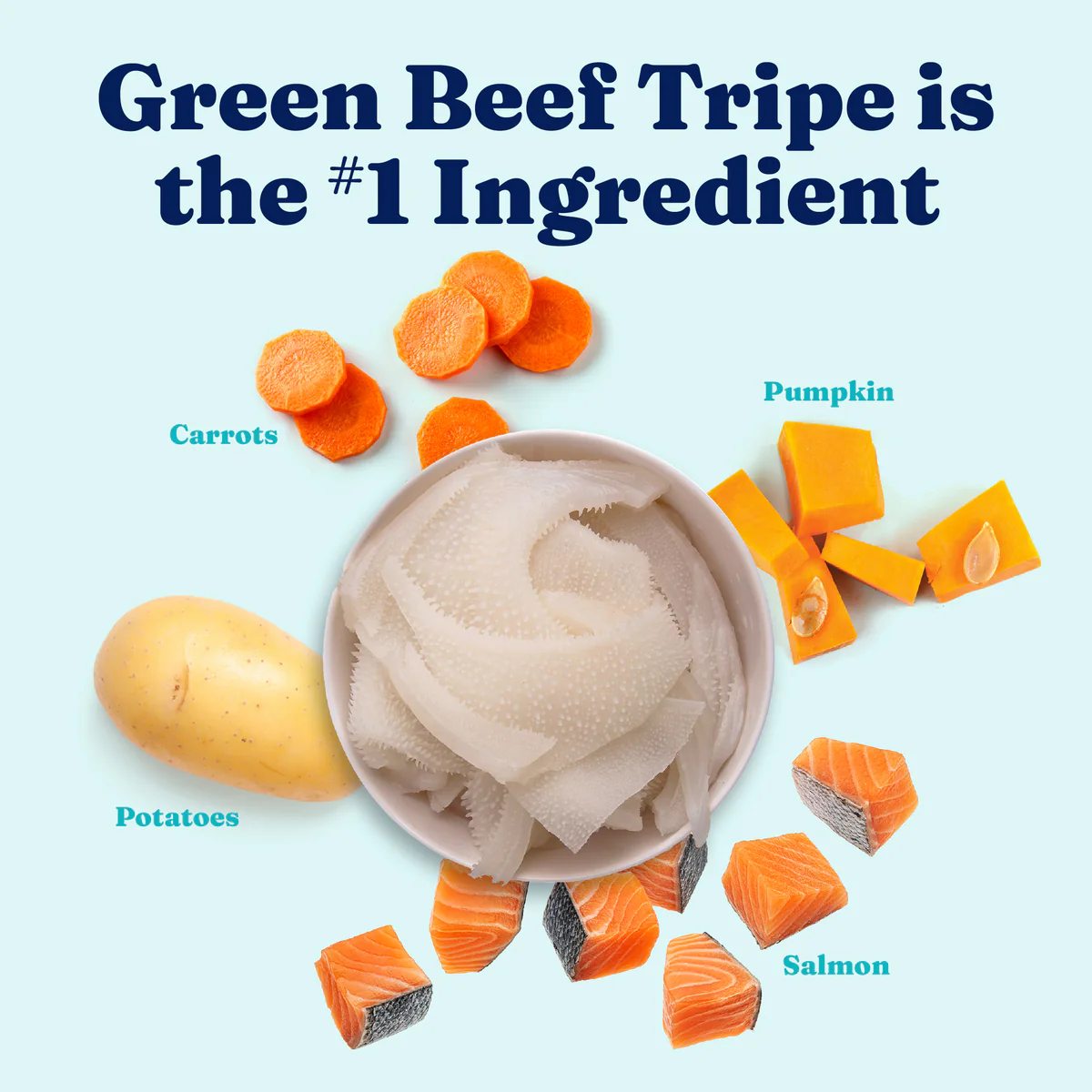 Nutrientboost™ Green Cow™ Sensitive Stomach Wet Food for Adult Dogs - Image 4