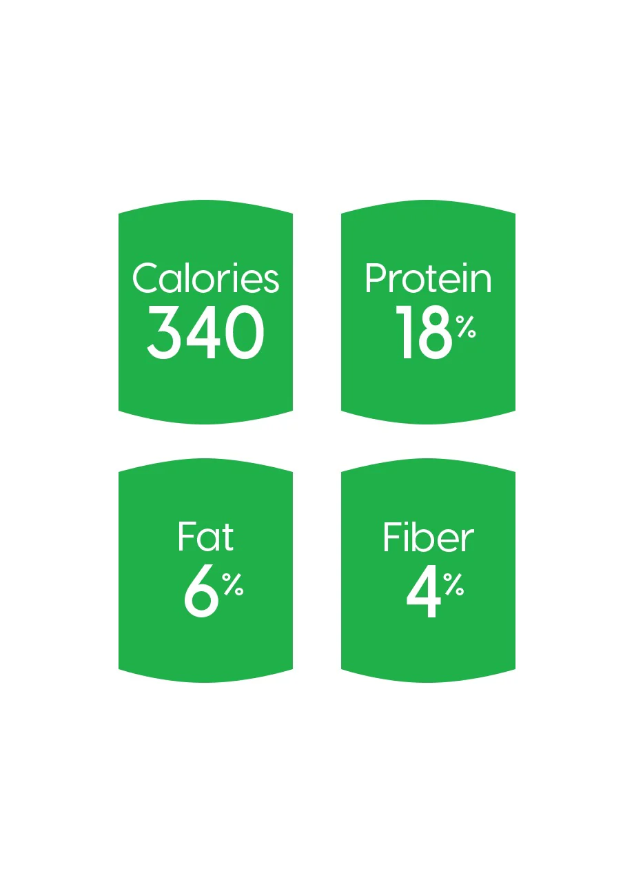 Holistique Blendz™ Oatmeal Sensitive Stomach Dry Food for Dogs - Image 3