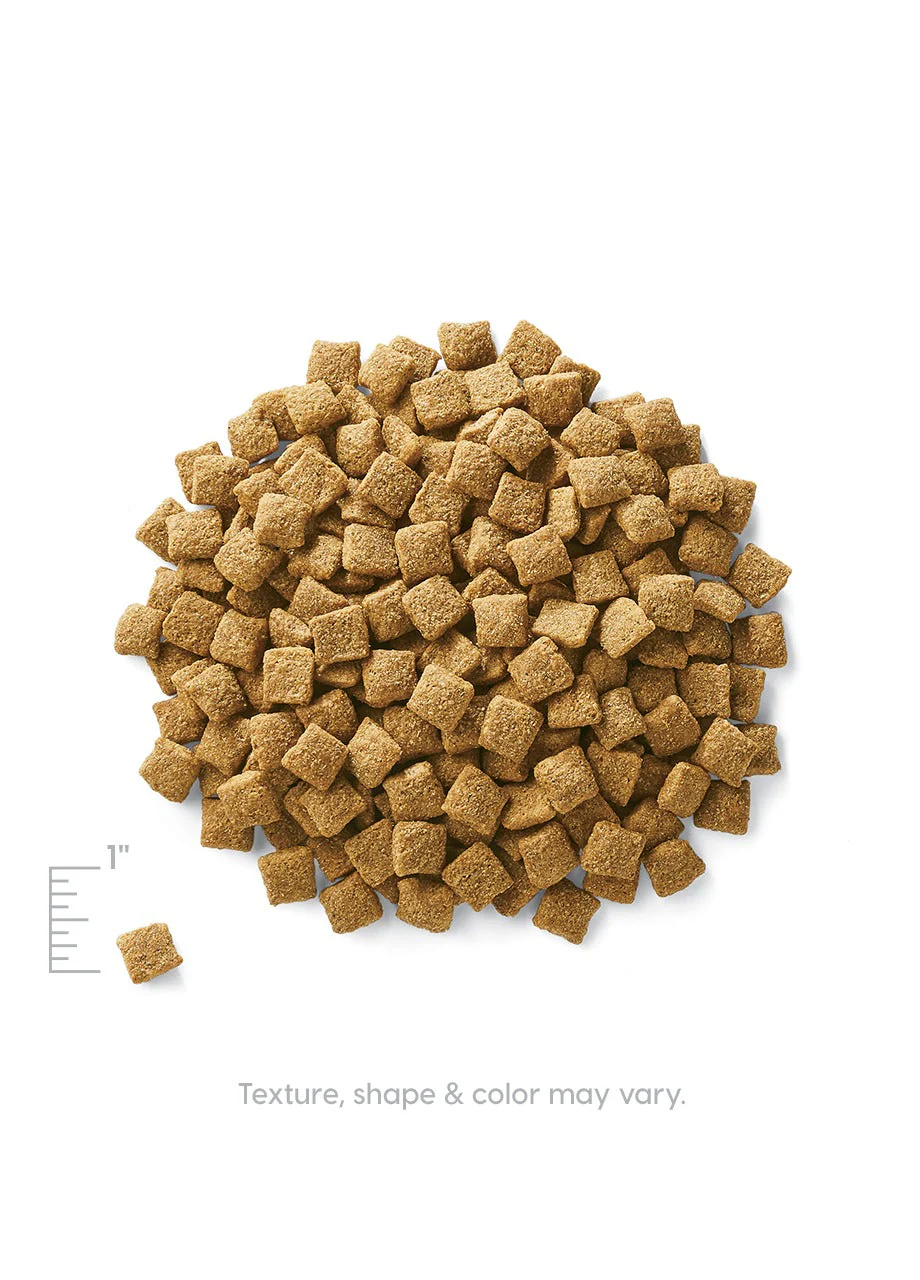 Holistique Blendz™ Oatmeal Sensitive Stomach Dry Food for Dogs - Image 4