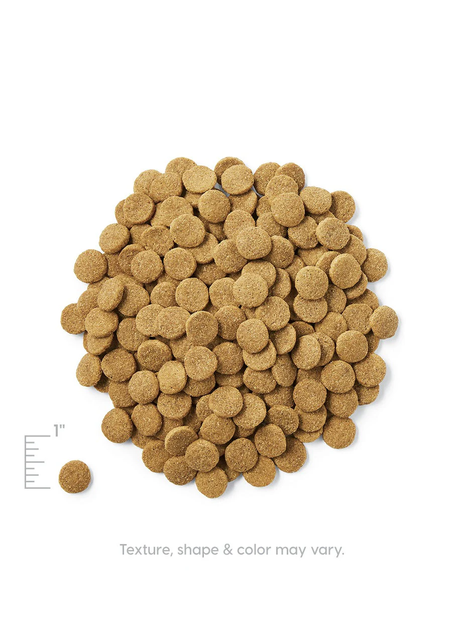Hund-N-Flocken™ Dry Food for Adult Dogs - Image 4