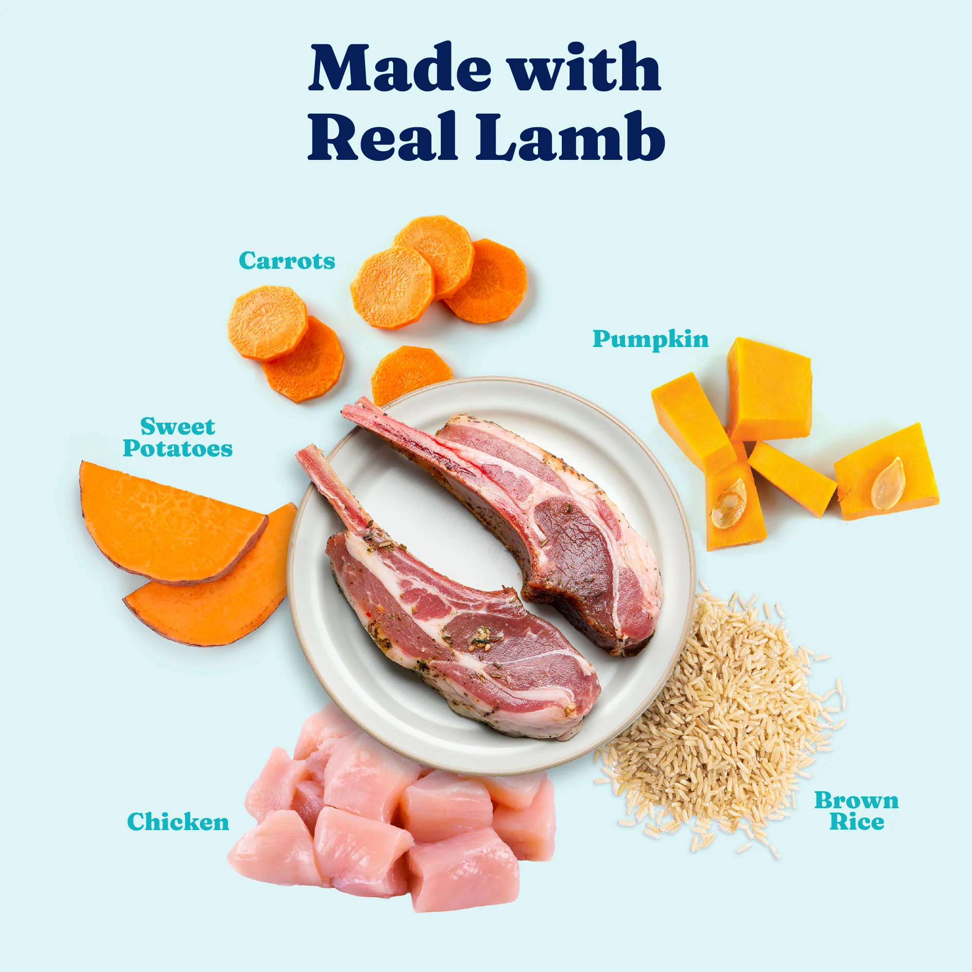 Hund-N-Flocken™ Lamb Wet Food for Adult Dogs - Image 4