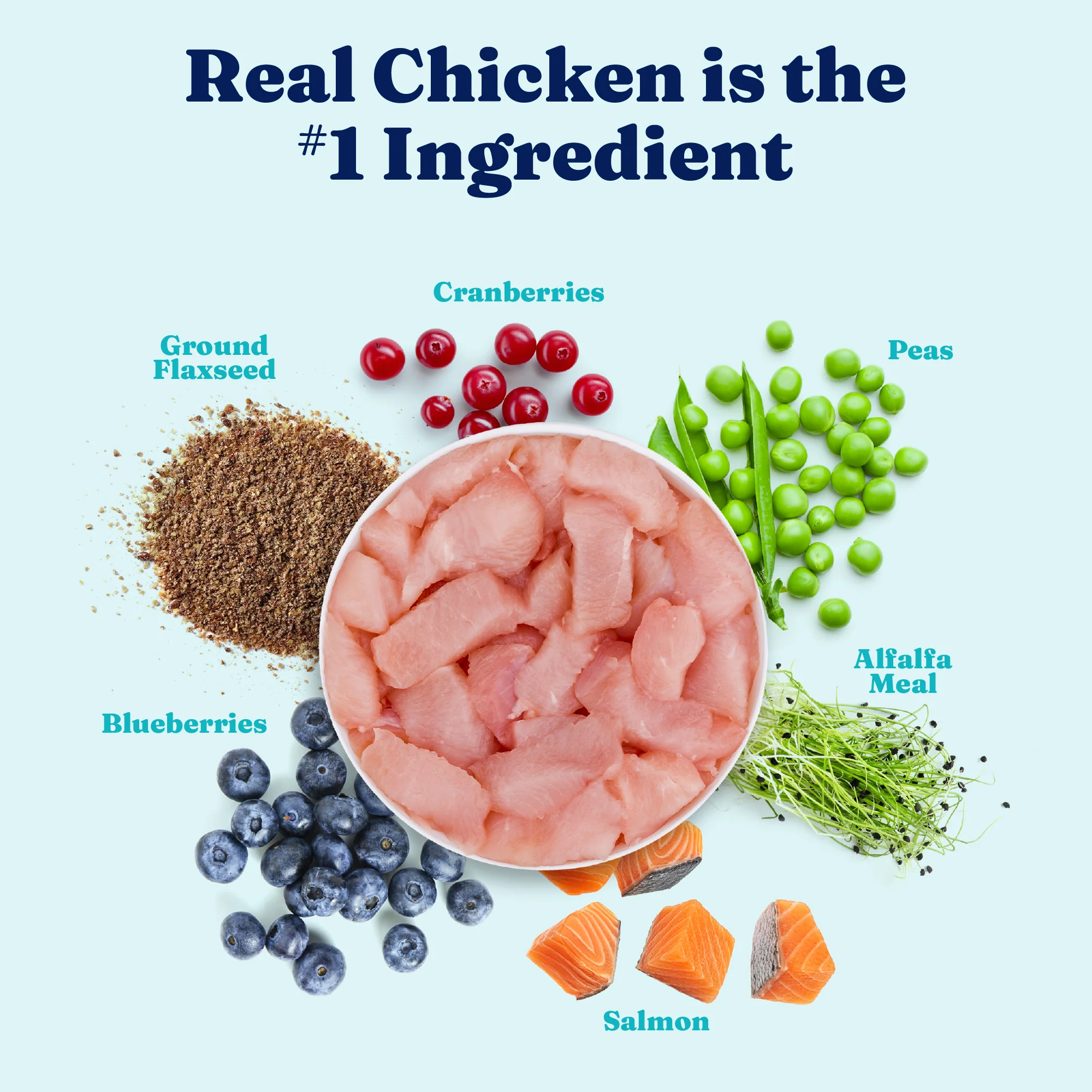 Leaping Waters™ Grain Free Wet Food for Dogs - Image 3