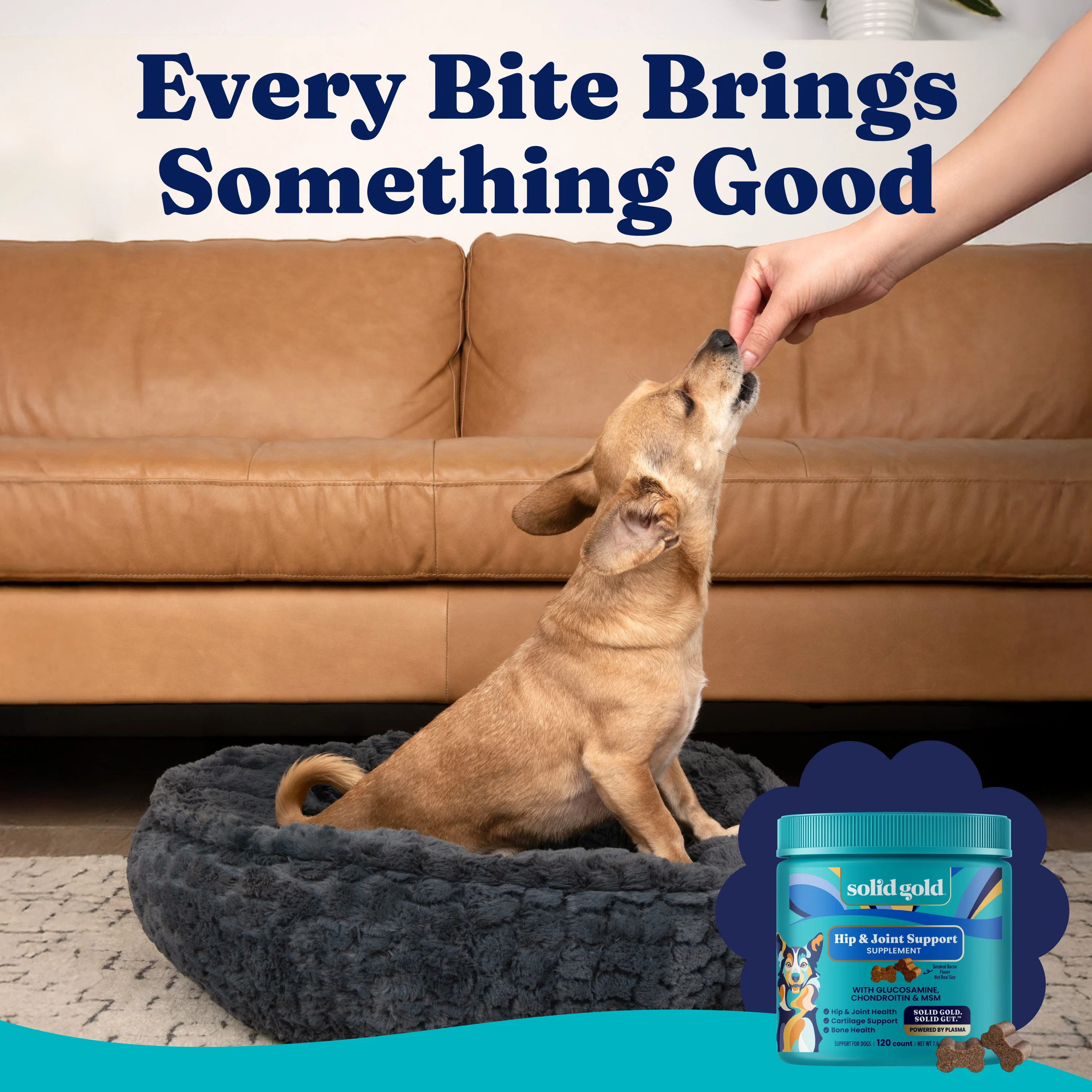 Leaps and Hounds™ Joint Support Chews for Dogs - Image 10