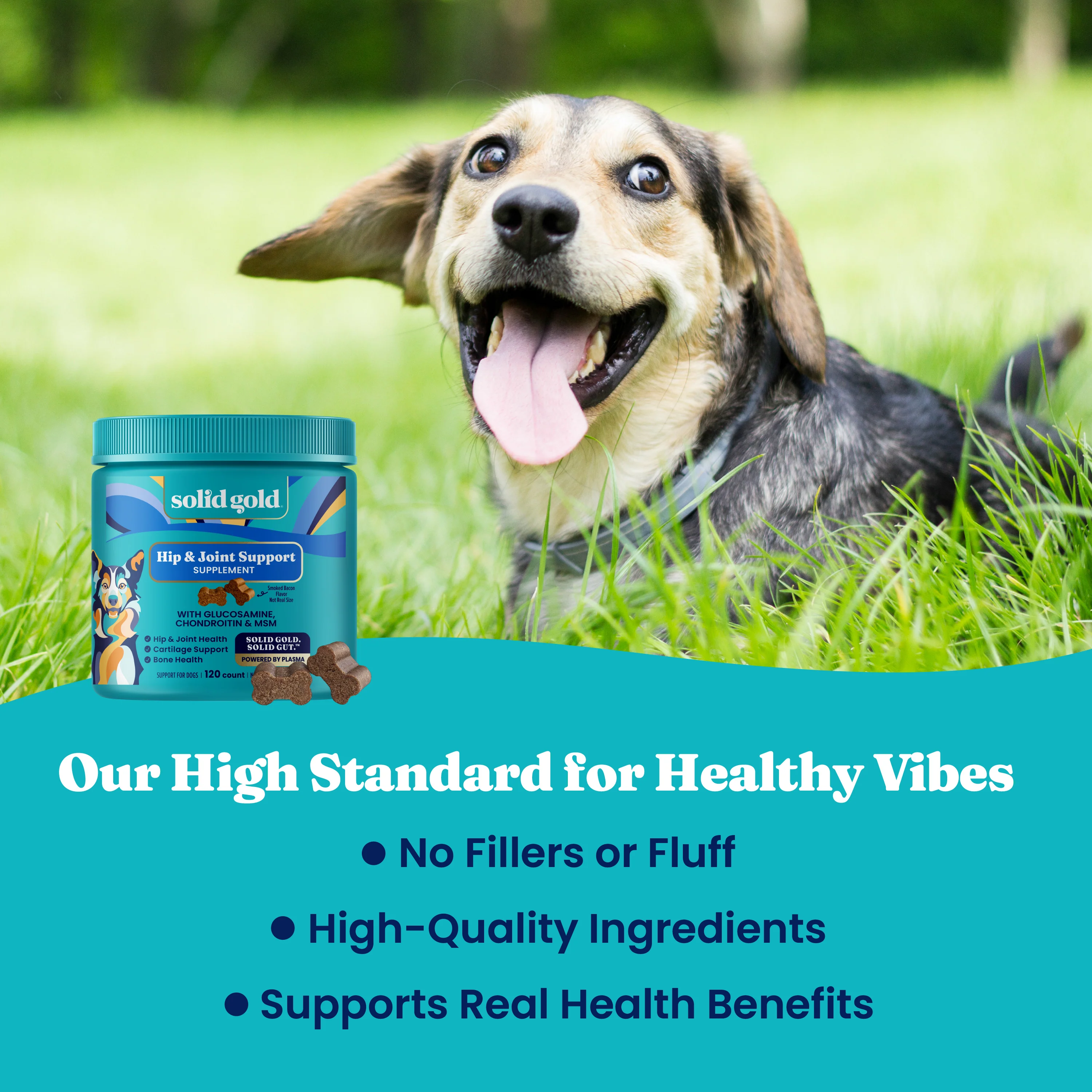 Leaps and Hounds™ Joint Support Chews for Dogs - Image 6