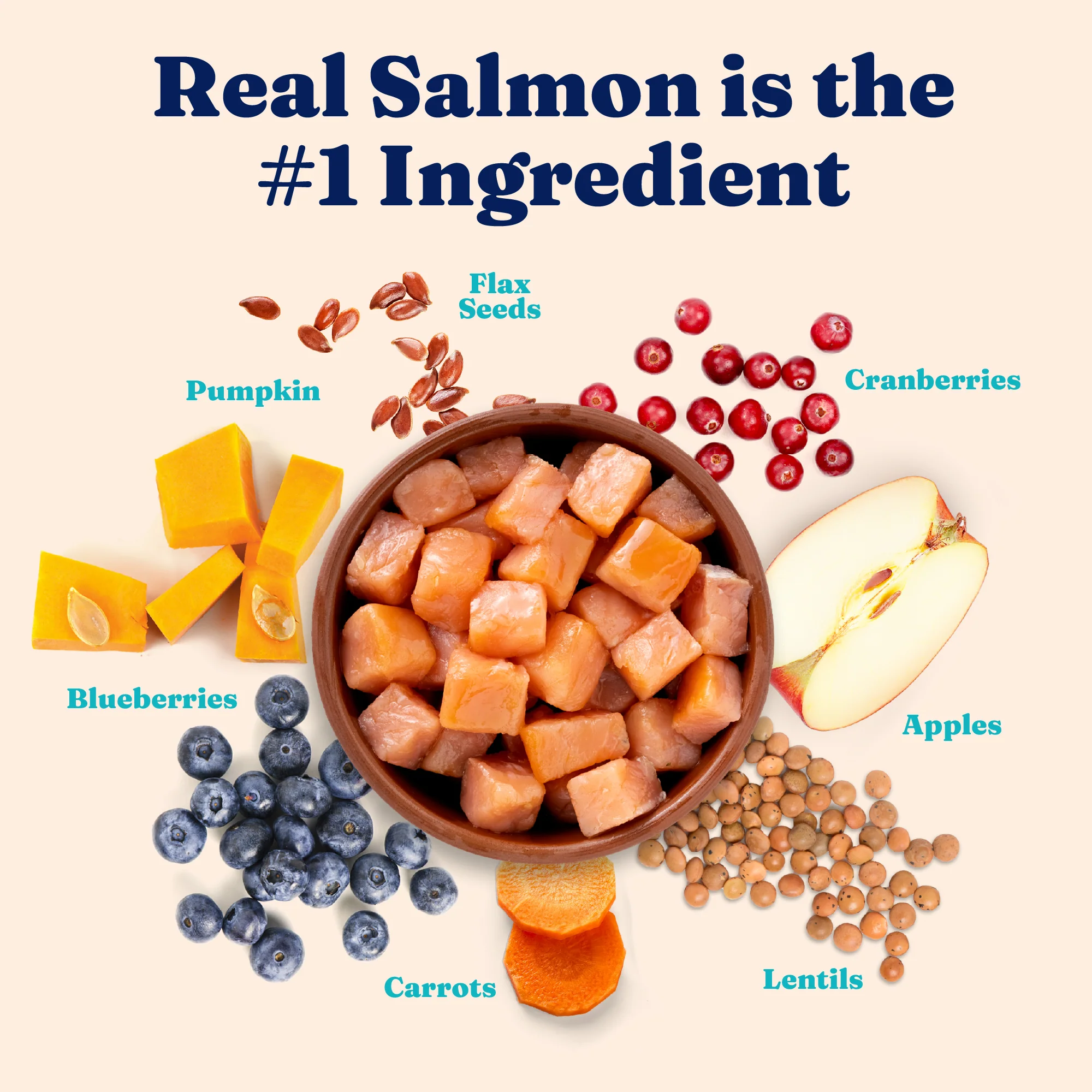 Let’s Stay In™ Salmon Dry Food for Indoor Cats - Image 3