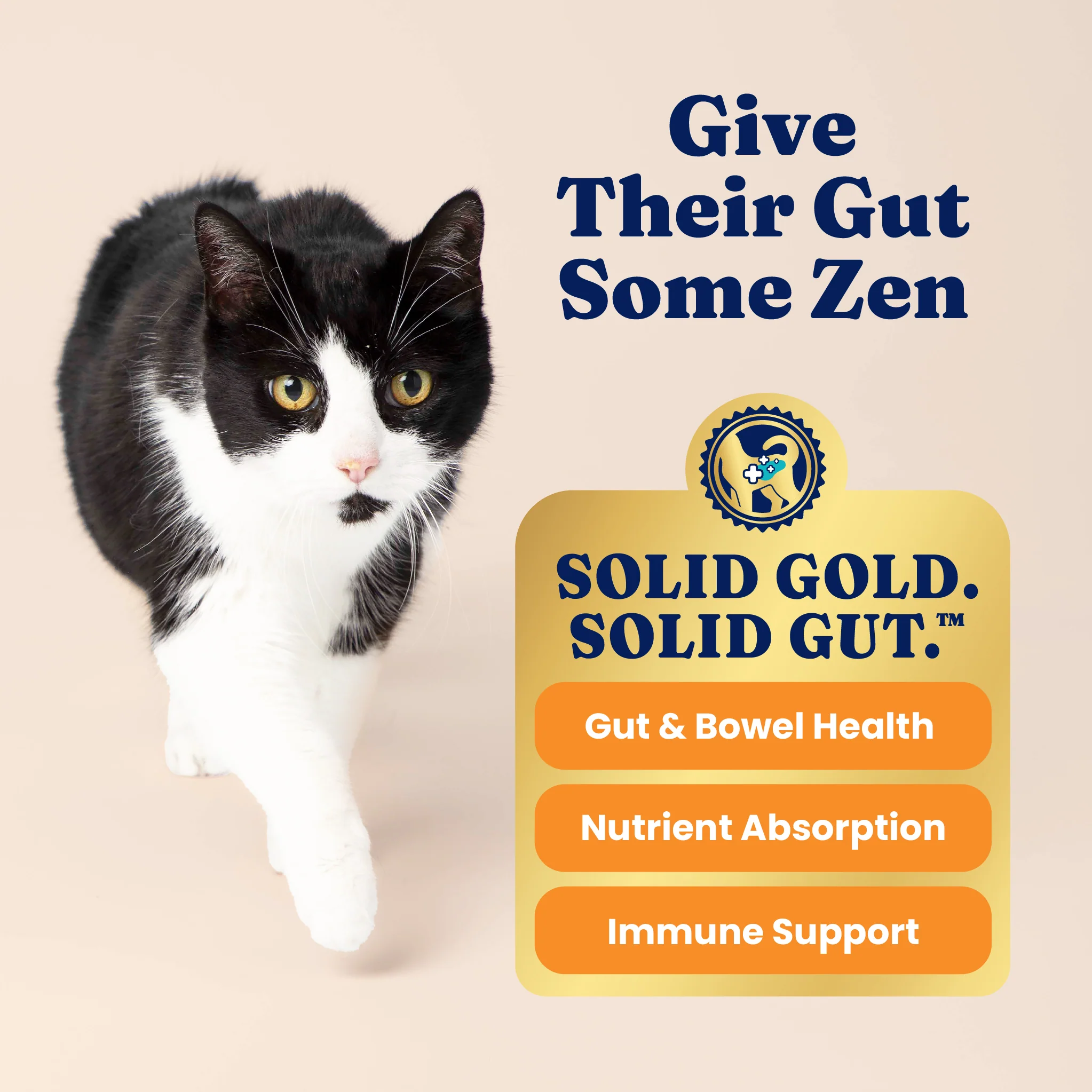 Indigo Moon™ Chicken Dry Food for Cats - Image 4