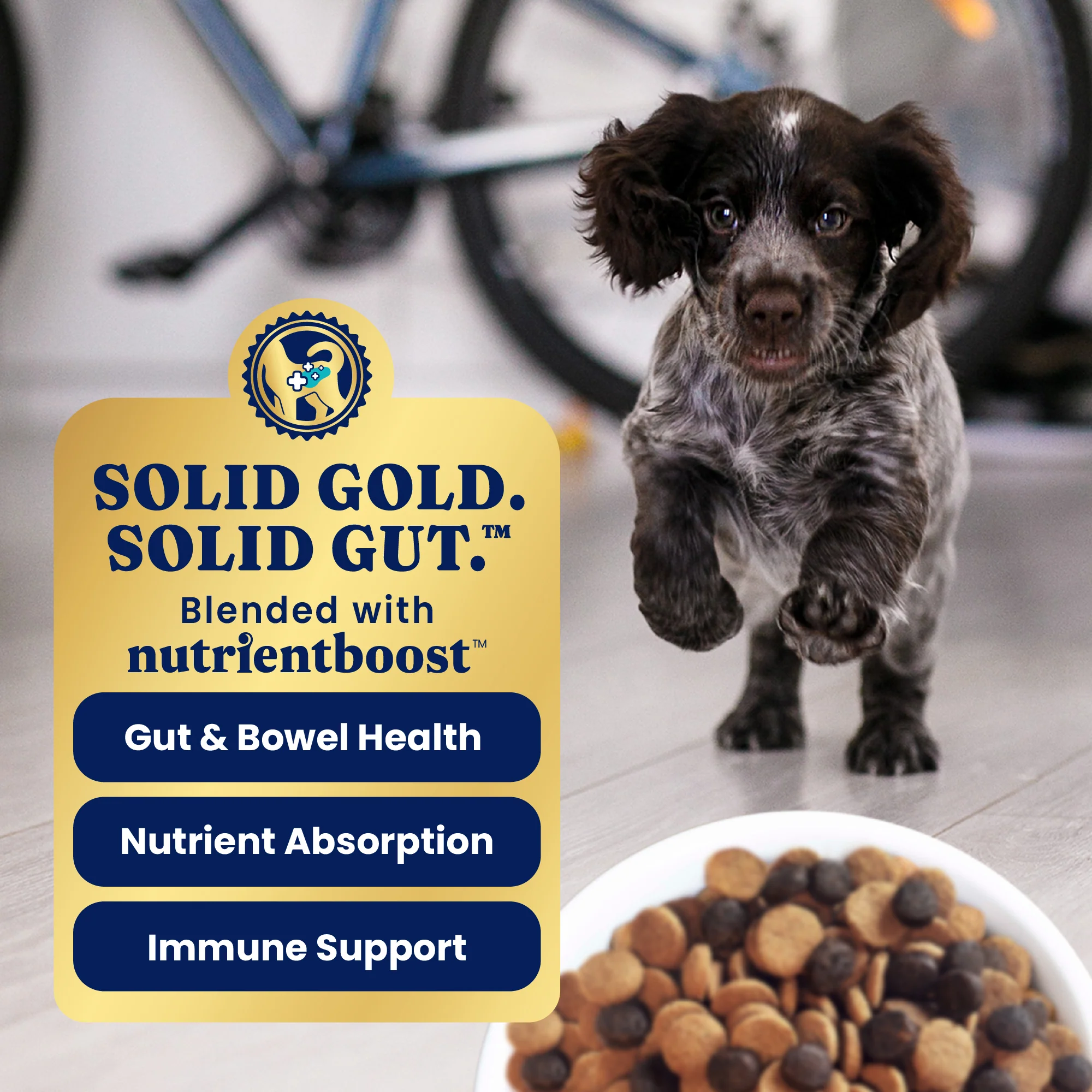 Nutrientboost™ Love at First Bark™ Dry Food for Puppies - Image 4