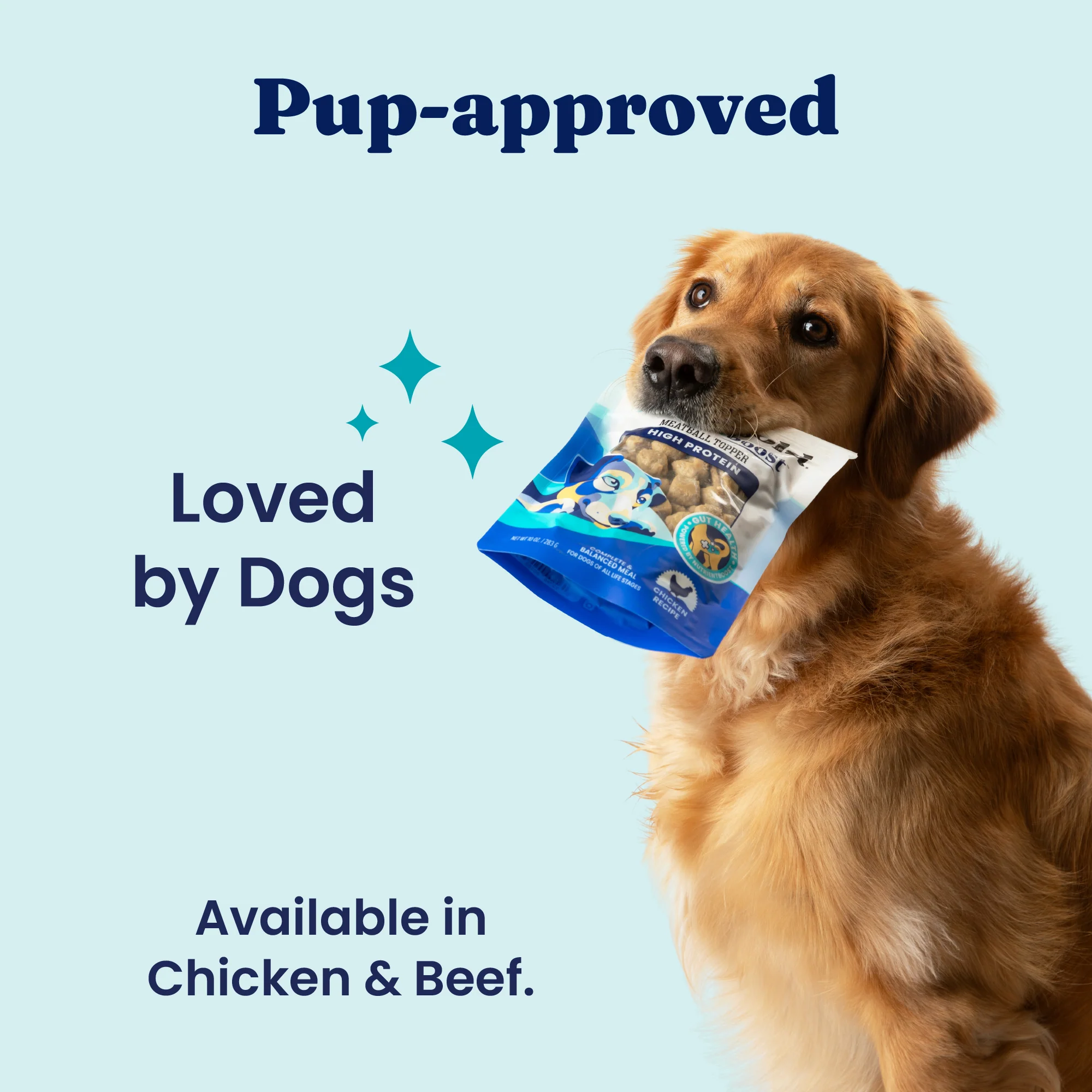 Nutrientboost™ Chicken Meatball Topper for Dogs - Image 6