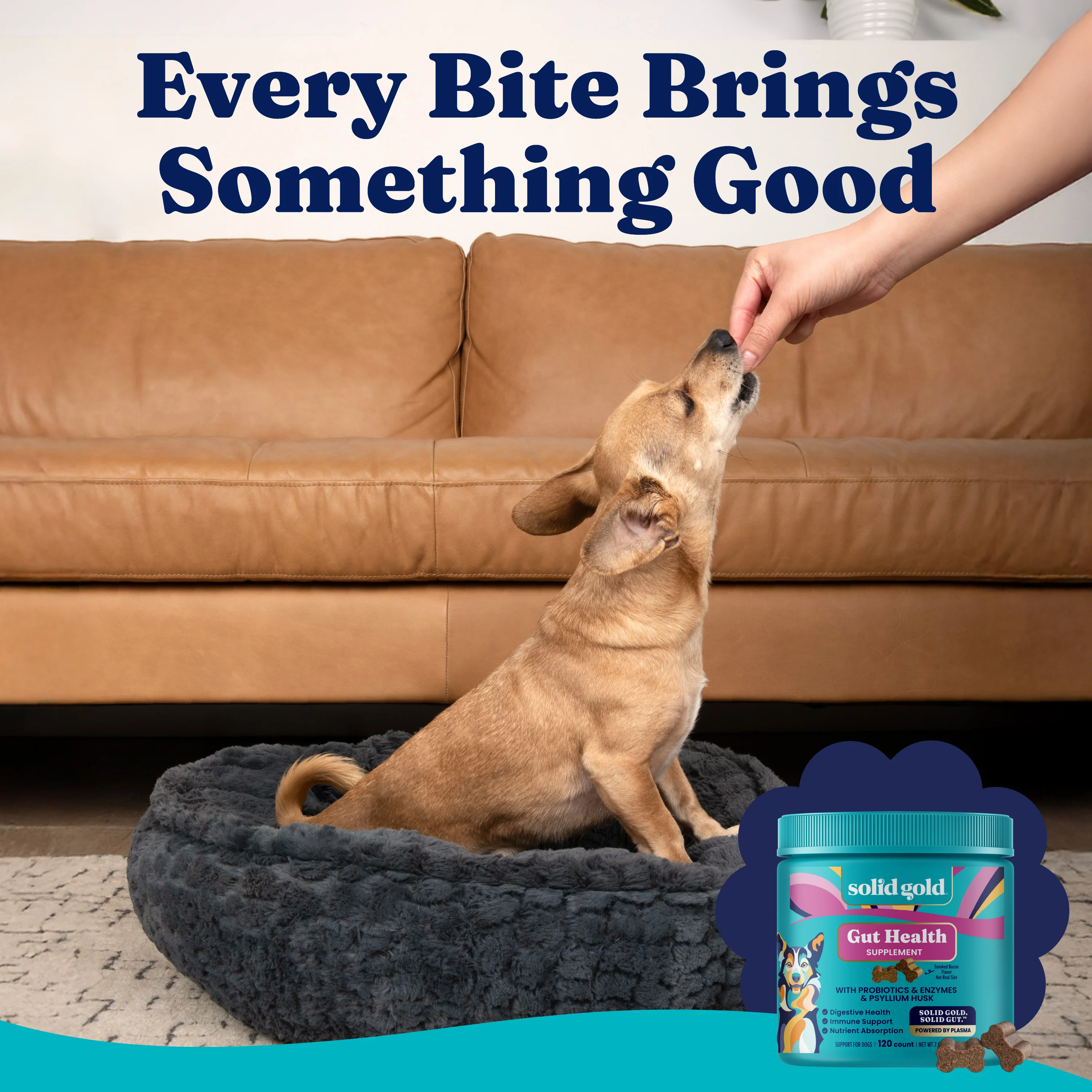 Mellow Belly™ Gut Health Chews for Dogs - Image 10