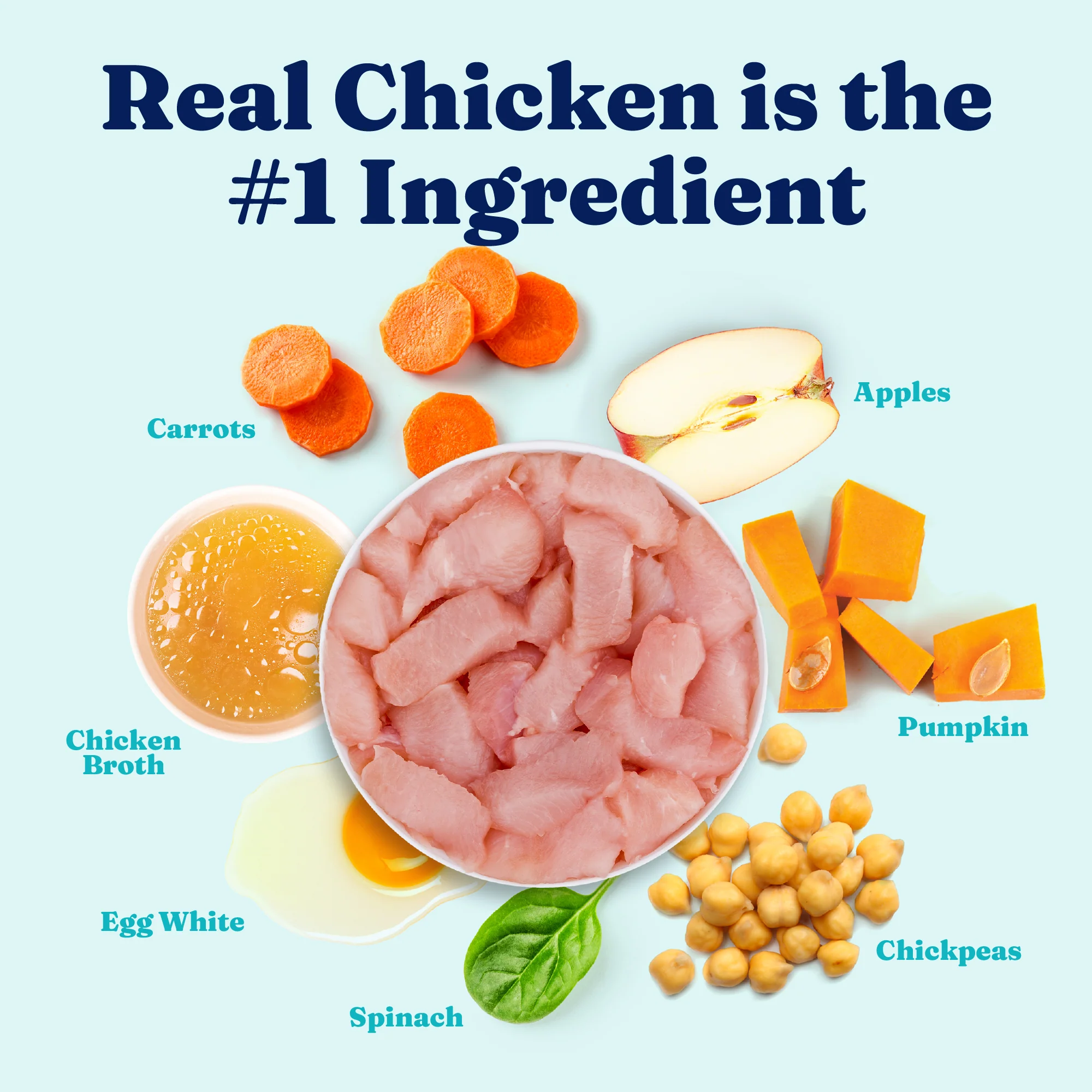 Mighty Mini™ Chicken Wet Food for Toy & Small Dogs - Image 4