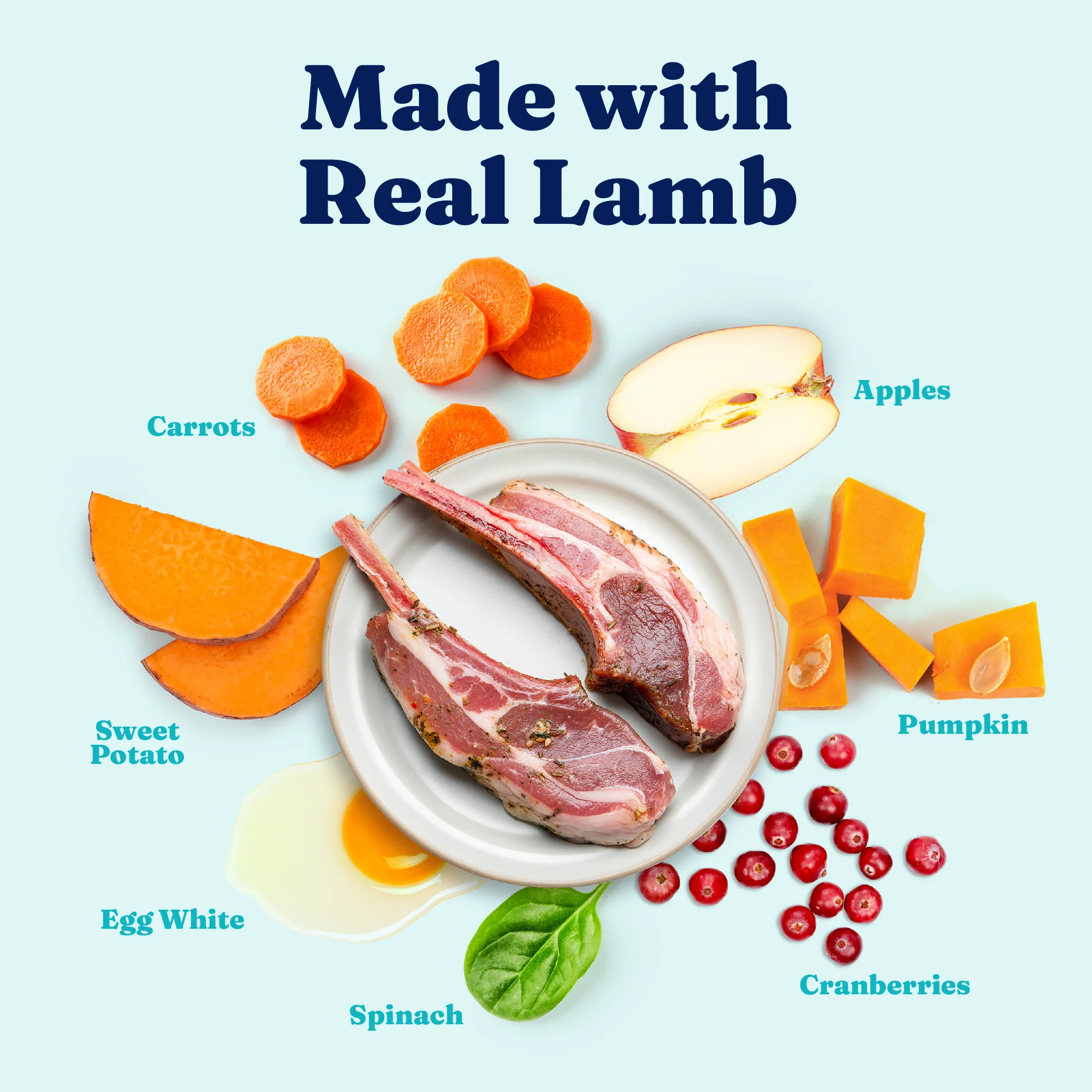 Mighty Mini™ Lamb Wet Food for Toy & Small Dogs - Image 4