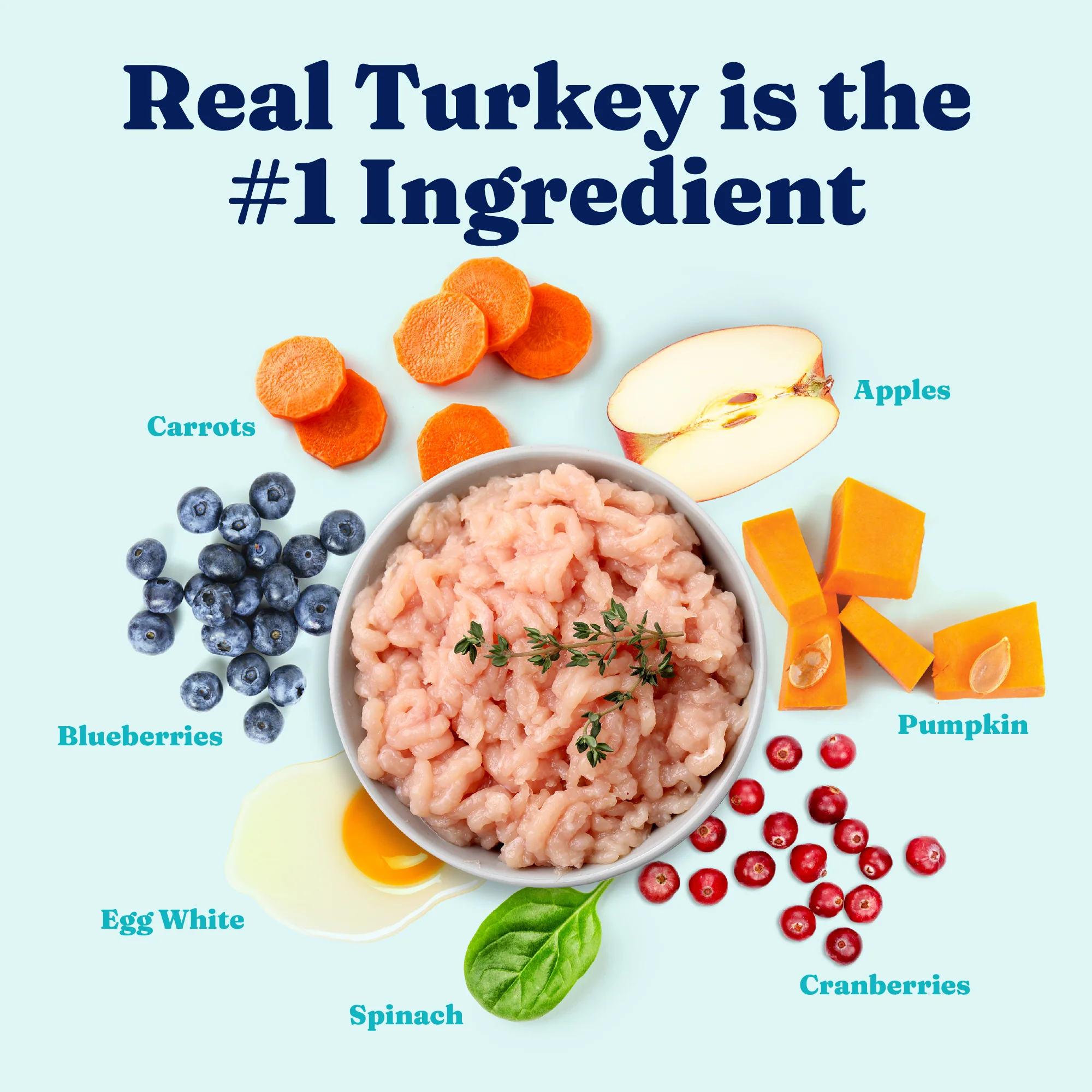Mighty Mini™ Turkey Wet Food for Toy & Small Dogs - Image 3