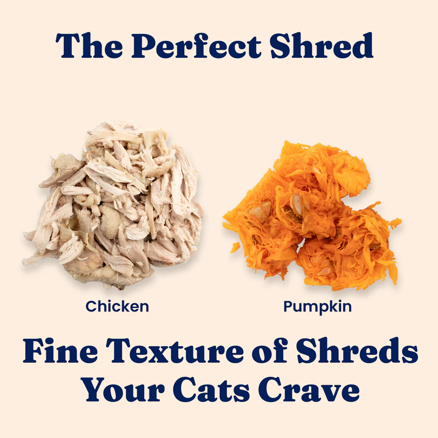 Chicken & Pumpkin Shreds Wet Food for Cats - Image 4