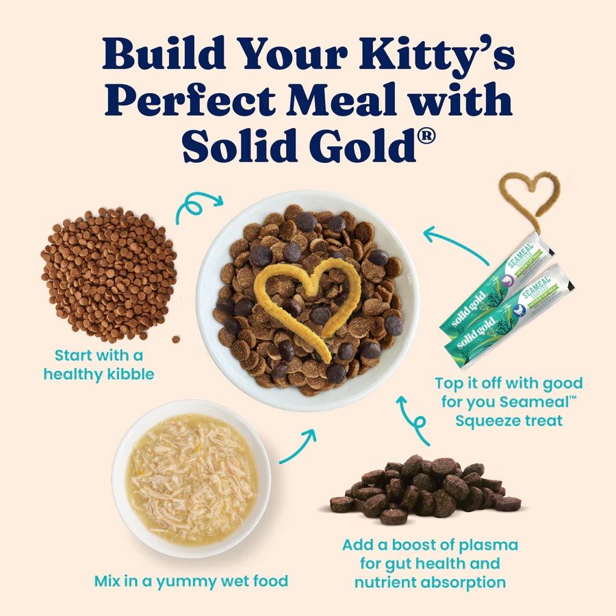 Chicken & Pumpkin Shreds Wet Food for Cats - Image 6