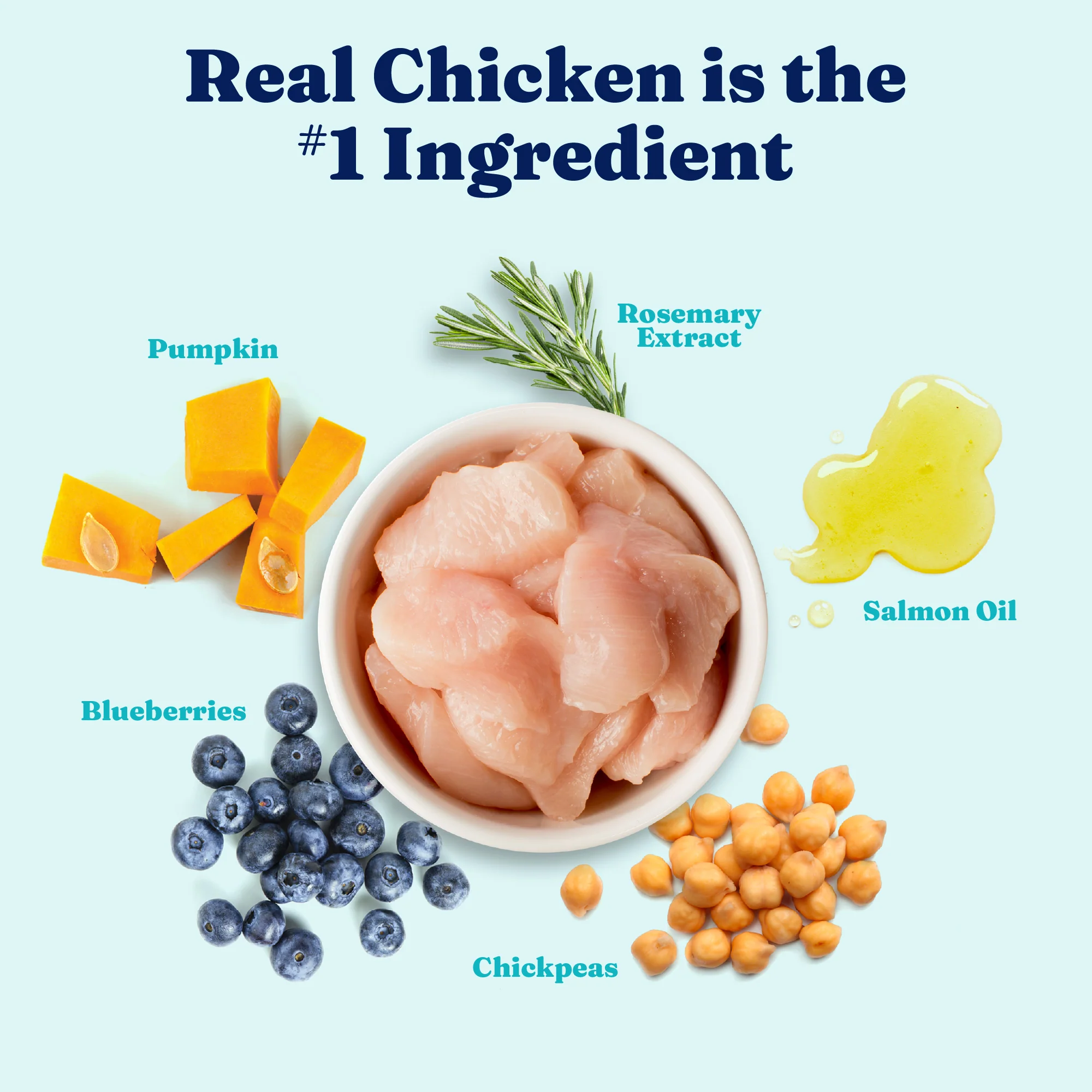 Nutrientboost™ Mighty Mini™ Chicken Dry Food for Toy & Small Dogs - Image 3