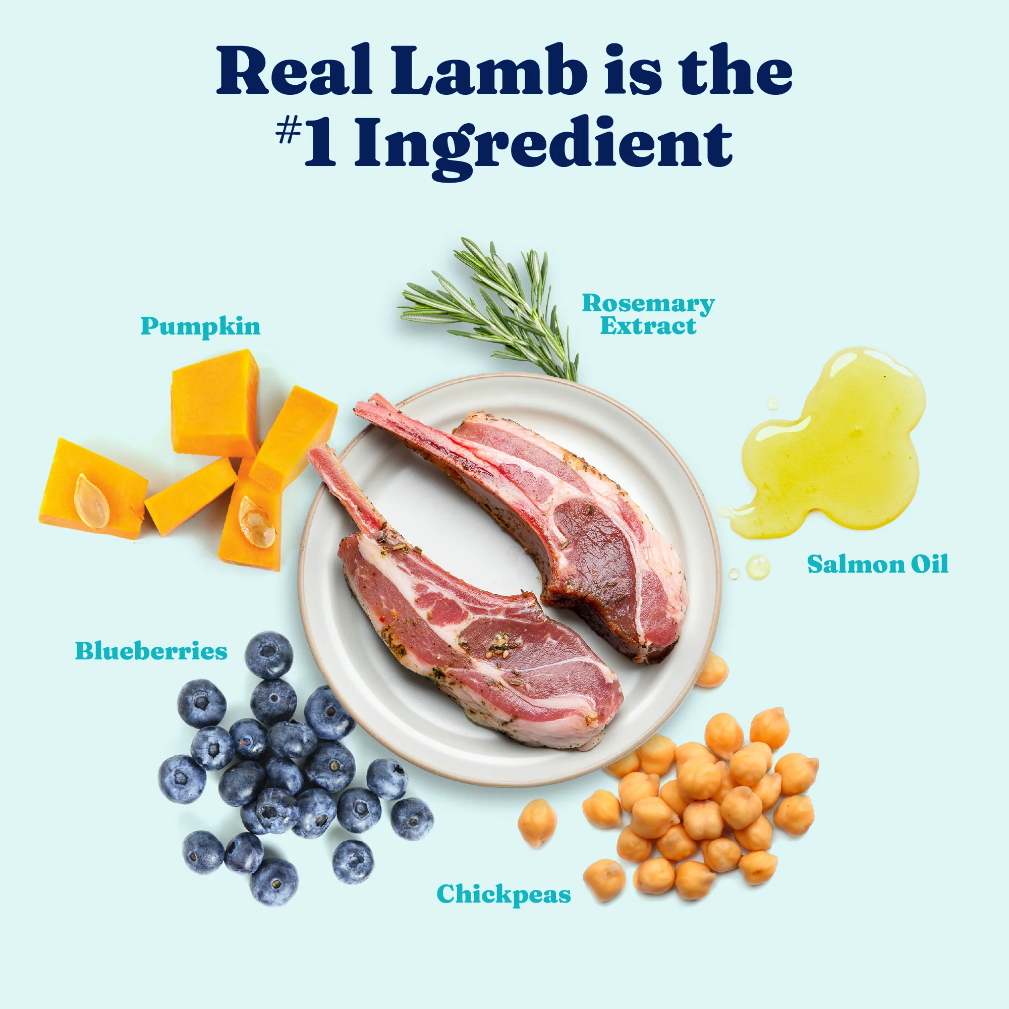 Nutrientboost™ Mighty Mini™ Lamb Dry Food for Toy & Small Dogs - Image 3