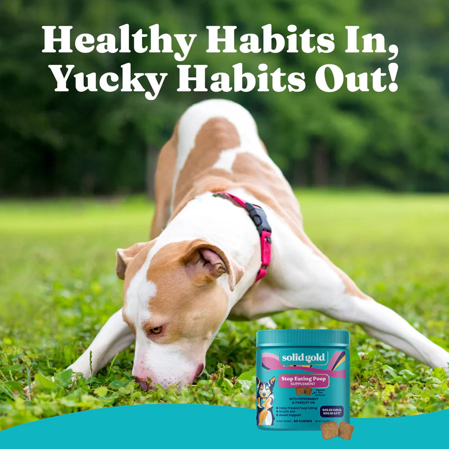 Stool Eating Deterrent for Dogs - Soft Chews - Image 10