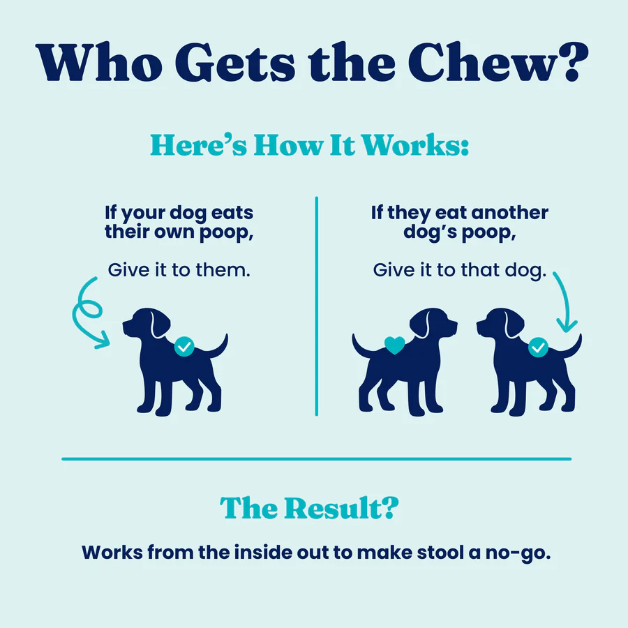 Stool Eating Deterrent for Dogs - Soft Chews - Image 11