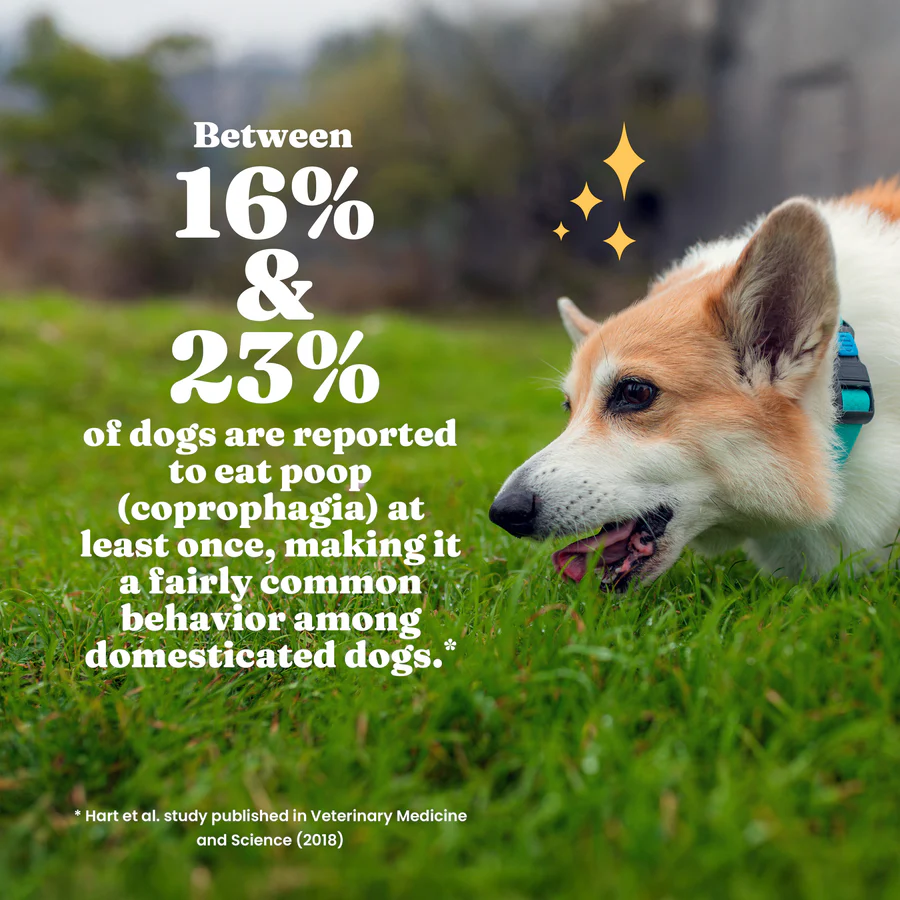 Stool Eating Deterrent for Dogs - Soft Chews - Image 9