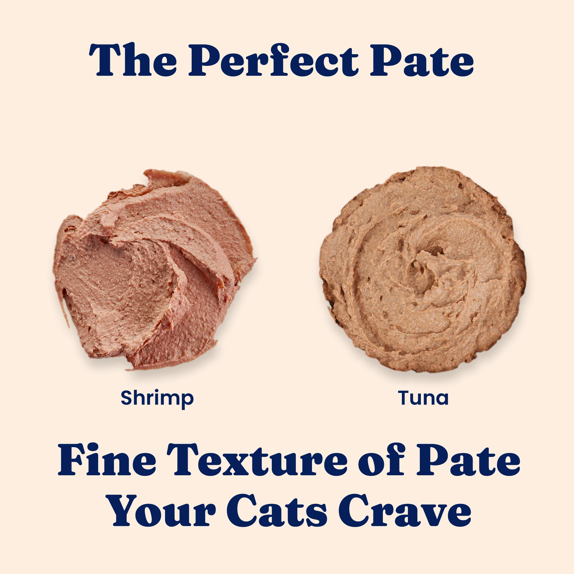 Paté with Chicken & Coconut Wet Food for Cats - Image 4