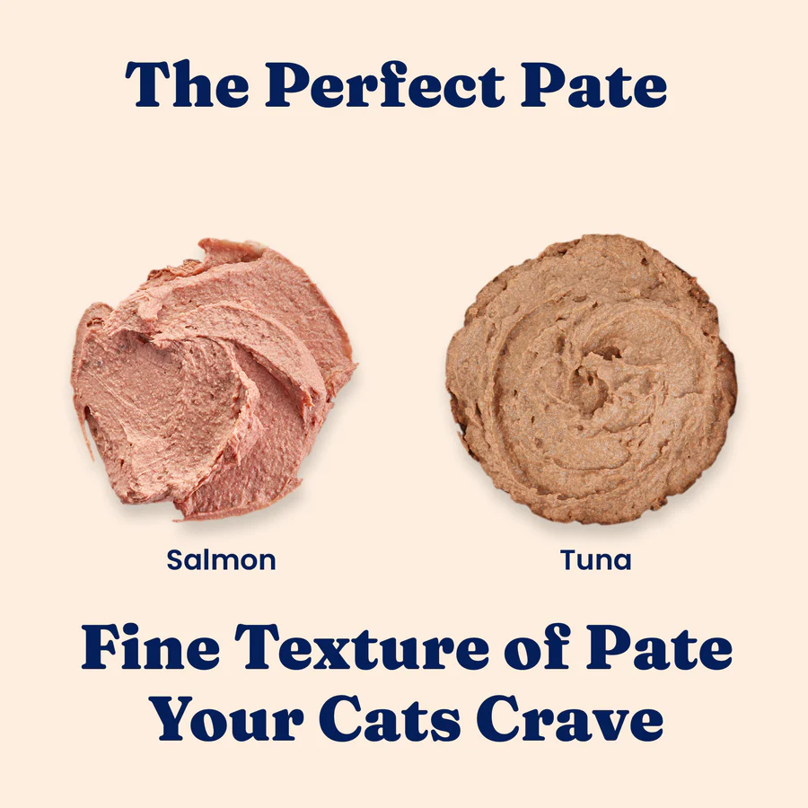 Paté with Salmon Wet Food for Cats - Image 3