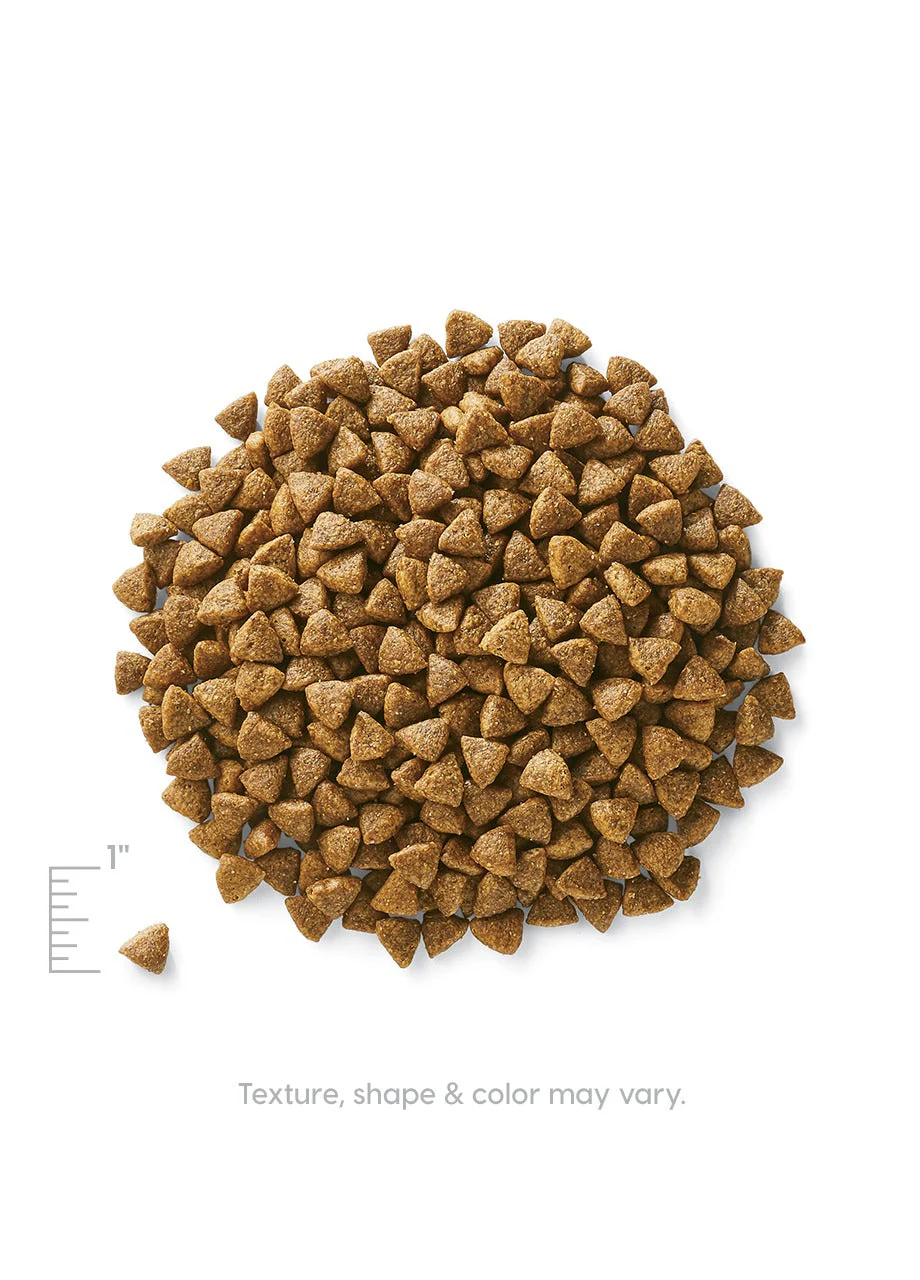 Wild Heart™ Sensitive Stomach Dry Food for Adult Dogs - Image 5